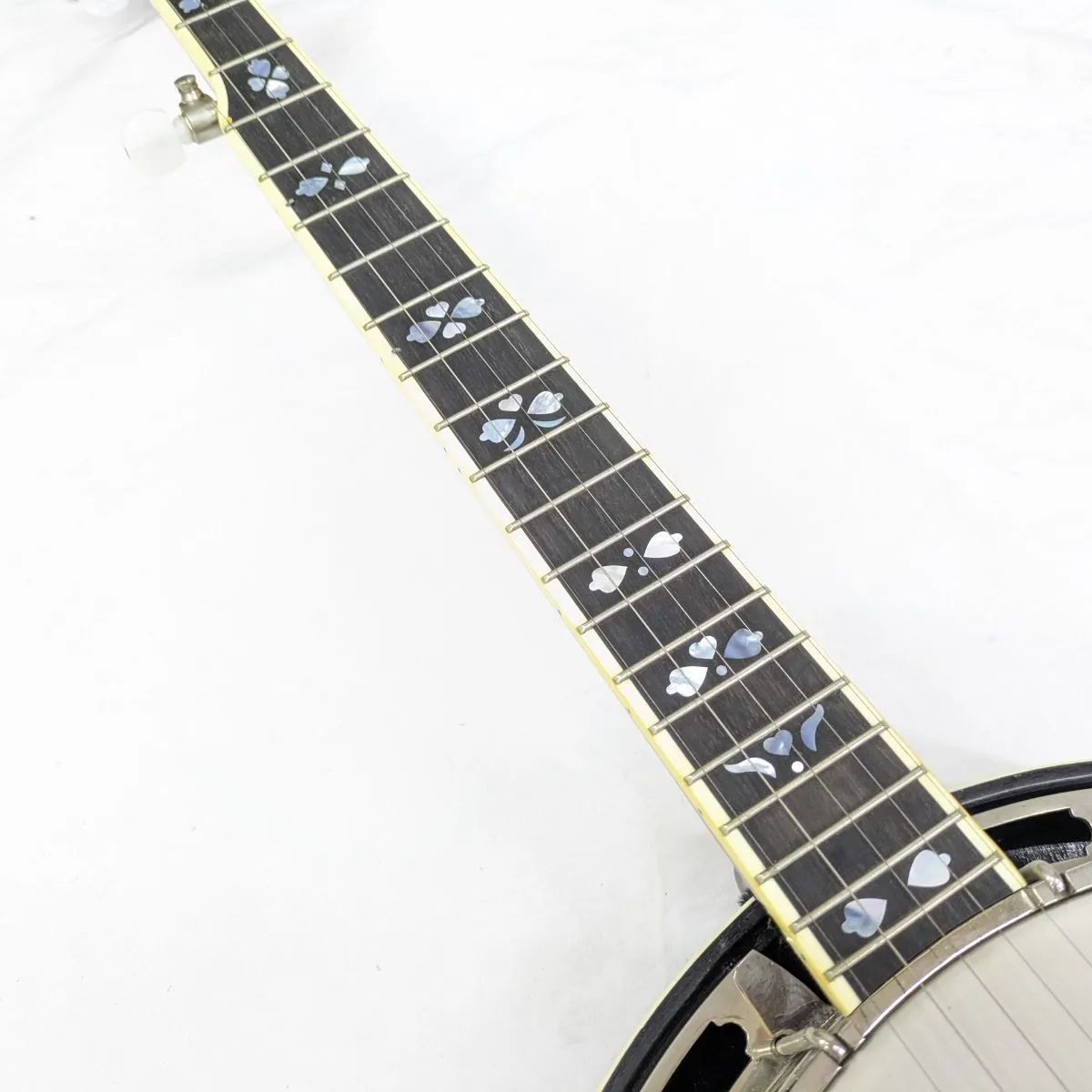 Banjos — Recording King
