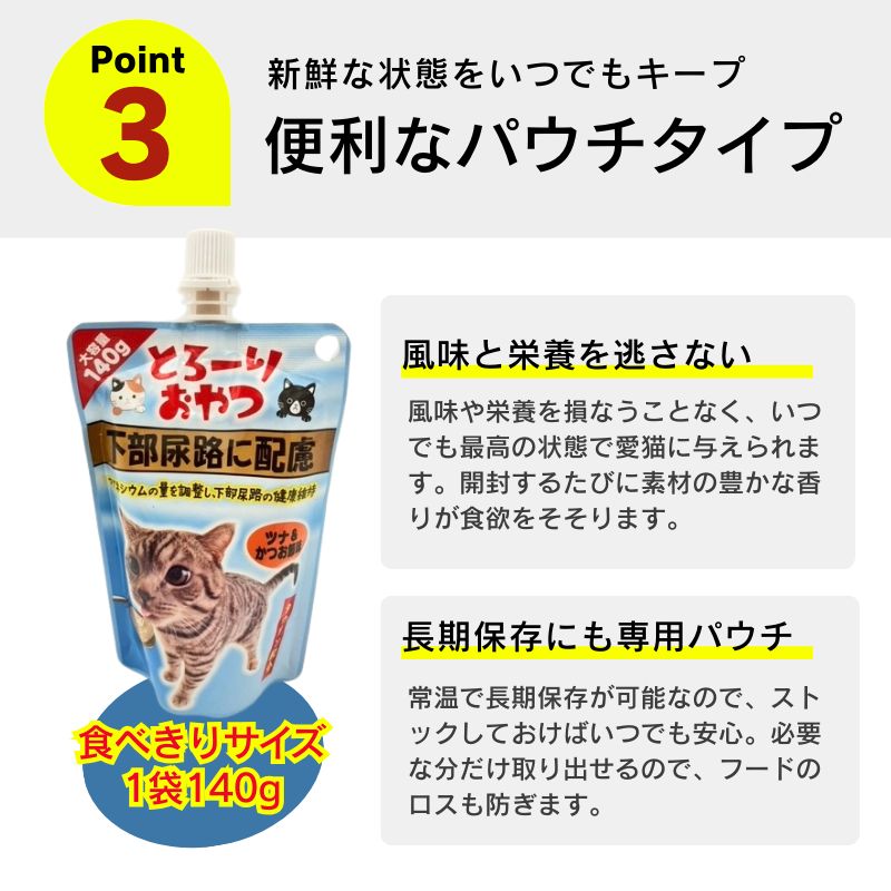 高齢猫 シニア