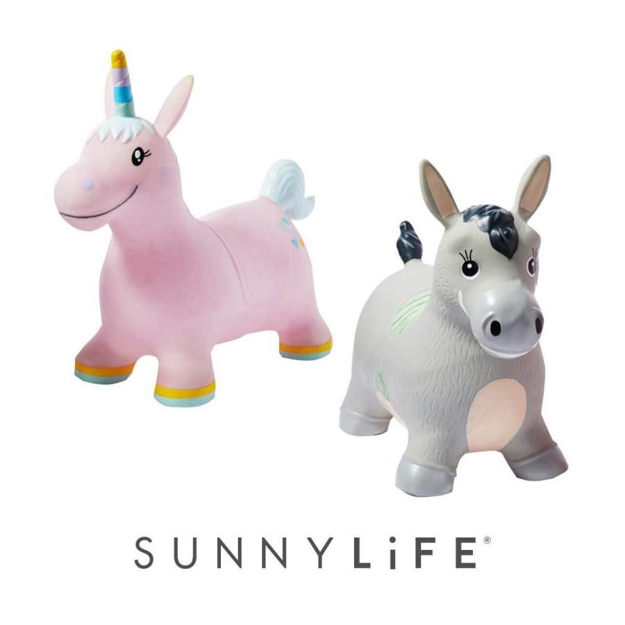 大学生協公務員講座 テキスト一式 ※バラ売り相談可 バラ売り大歓迎