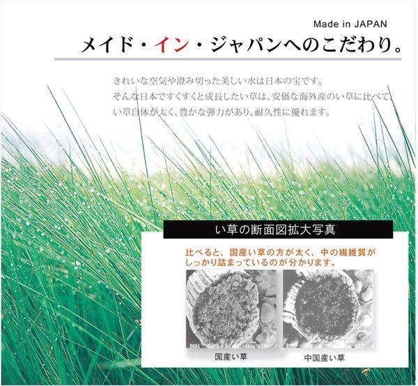 日本製 い草 ラグマット/絨毯 【格子柄 ブルー 約191×191cm】 裏地ウ
