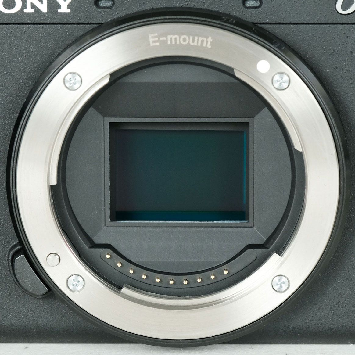 ボディ ソニーEマウント