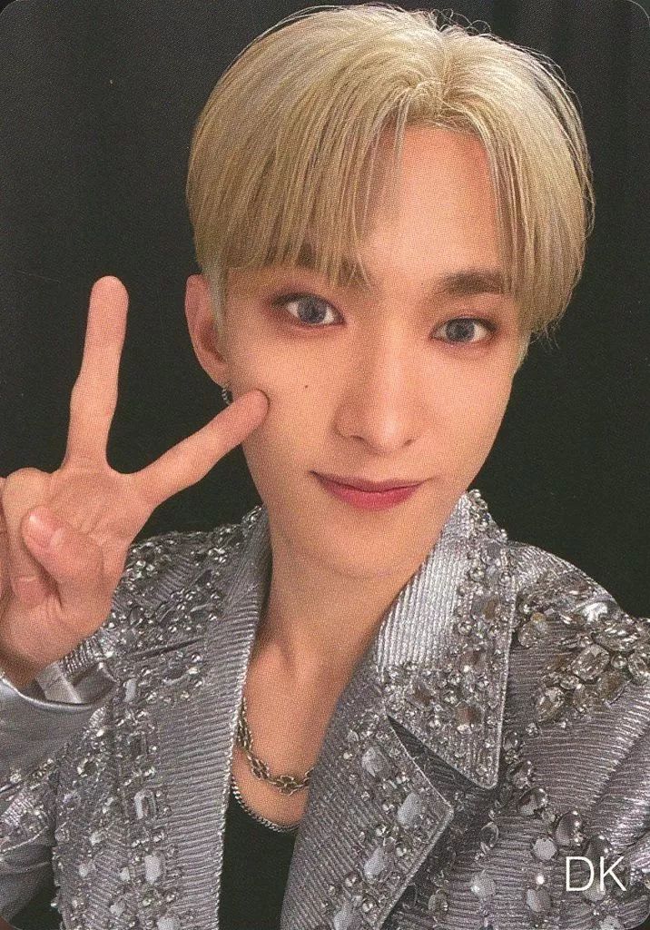 SEVENTEEN ドギョム DK トレカ 中古】コレクションカード(男性) SEVENTEEN/ドギョム(DK)/「SEVENTEEN