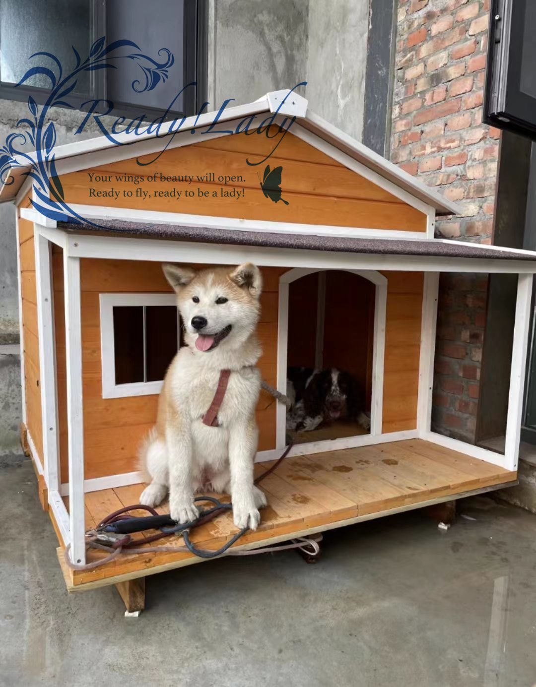 お見逃しなく ドッグハウス 室外犬小屋 屋外 木製 サイズ外寸 129*110*113 大型犬用 ホームタウン ドッグハウス テラス