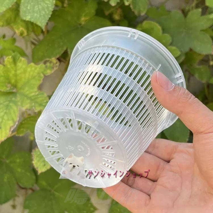 直径11cm 観葉植物 蘭の鉢 20セット プラスチック 屋外