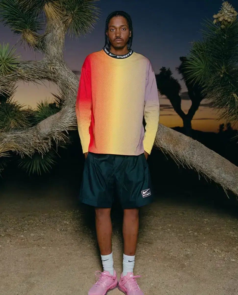 Nike ナイキ X STUSSY ステューシー 長袖 ロングスリーブ トップス