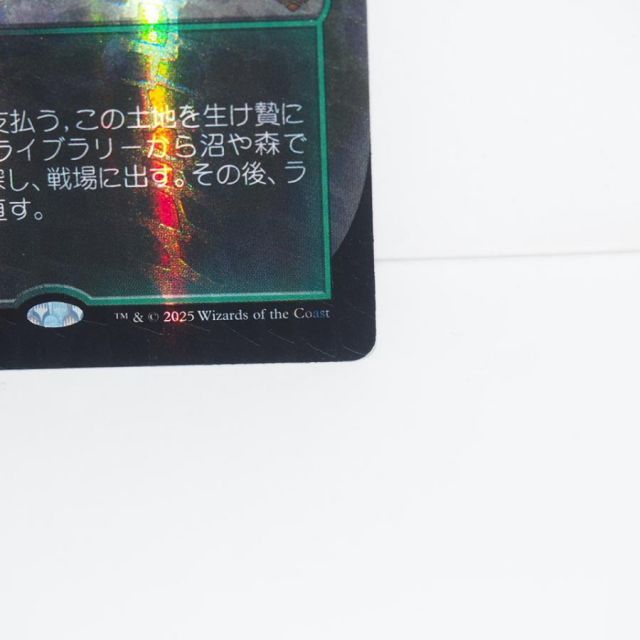 MAGIC The Gathering MTG 新緑の地下墓地 M 0118 SPG☆JP
