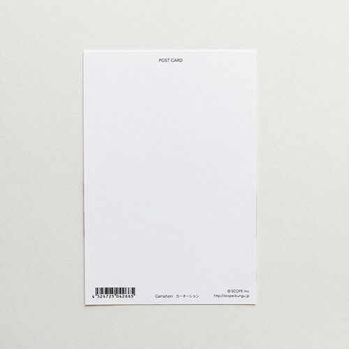 まとめ スコープ カード ポストカード Flower カーネーション 04266 ×60セット