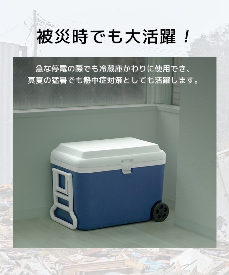 お花見 キャンプ