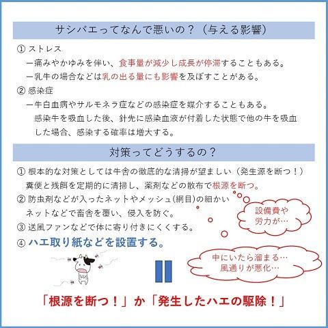 馬