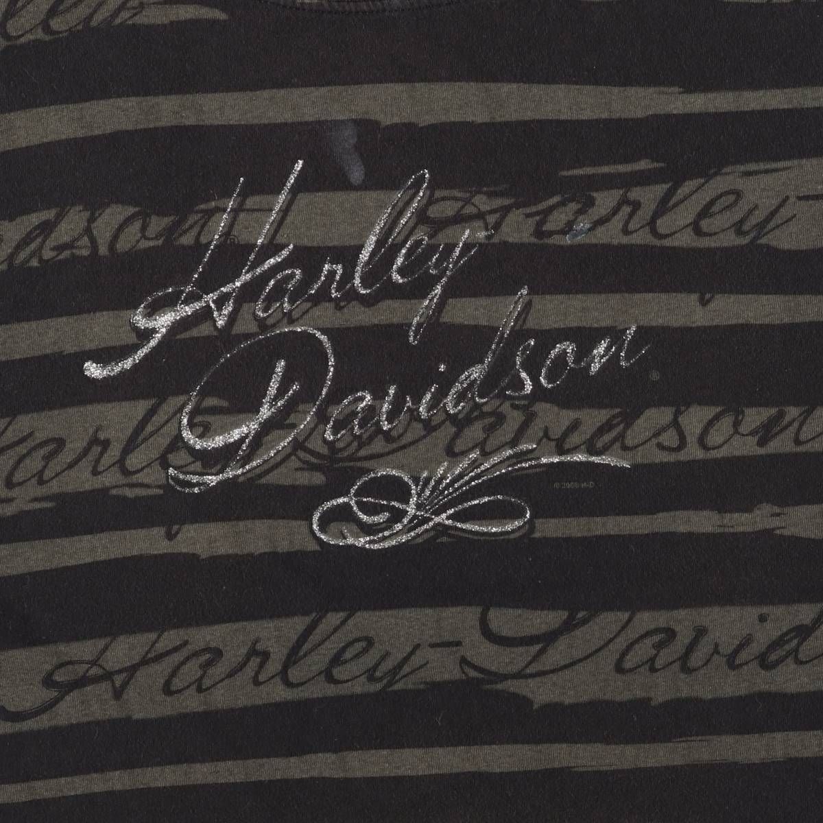 古着 00年代 ハーレーダビッドソン Harley-Davidson ボーダー柄 モーターサイクル バイクTシャツ レディースL相当 /eaa543090 古着 00年代 ハーレーダビッドソン Harley-Davidson ボーダー柄