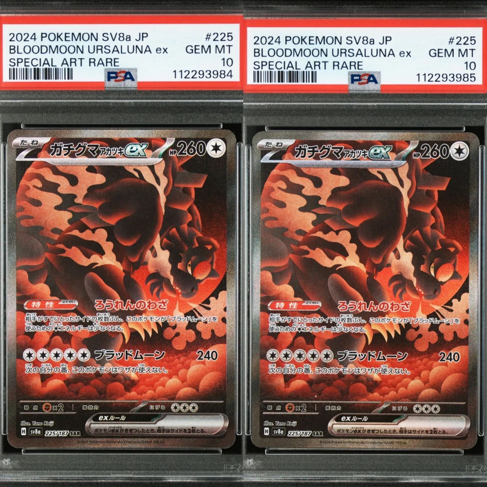 PSA10連番】ポケモンカードゲーム ガチグマアカツキex SAR SV8a テラス