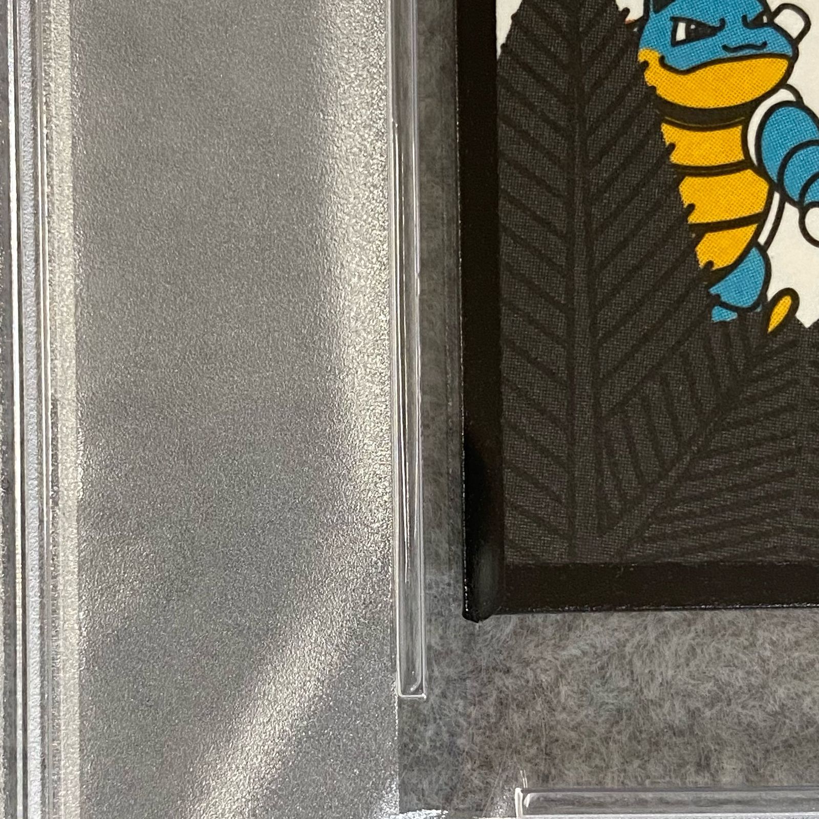 PSA10】ポケモン花札 松 カメックス - メルカリ