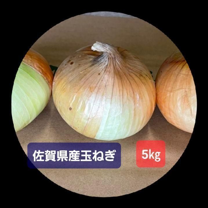 佐賀県産玉葱5kg 新玉ねぎ1