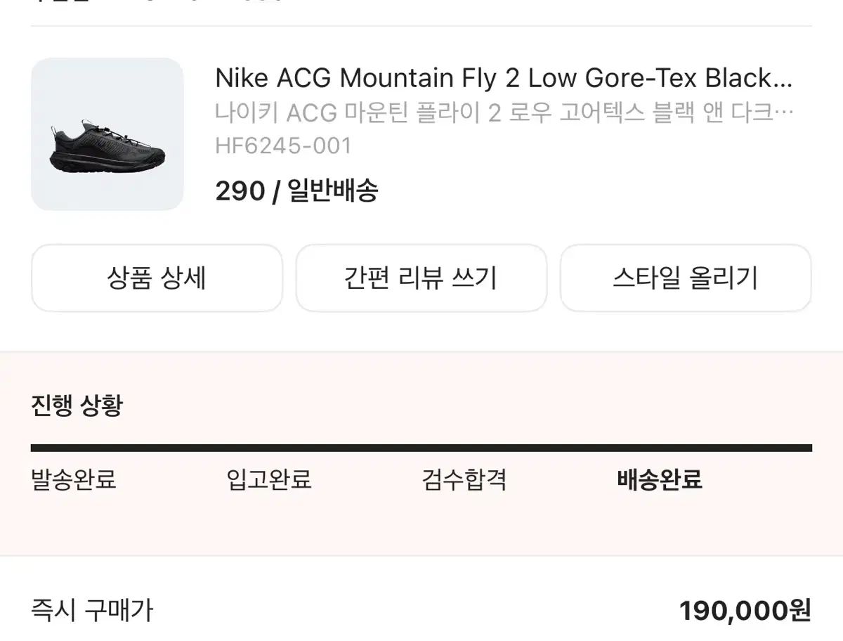 Nike ACG Mountain Fly 2 Low Gore ー Tex 290