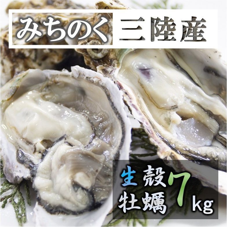 生食OK 三陸産 殻付き 生牡蠣 7kg 今季初出し 希少 数量限定 新鮮 宮城 石巻 鉄分 ミネラル豊富 希少 カキ バーベキュー 貝 魚介類 かき 贈答 パーティ 刺身 焼く 蒸す 揚げ 漬け カキフライ 鍋 栄養 誕生日 プレゼント 海の幸 贈り物 逸品