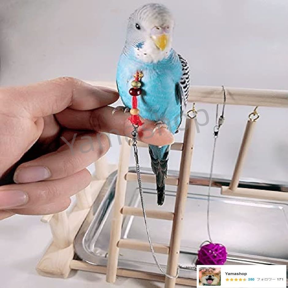 鳥の止まり木 スタンド