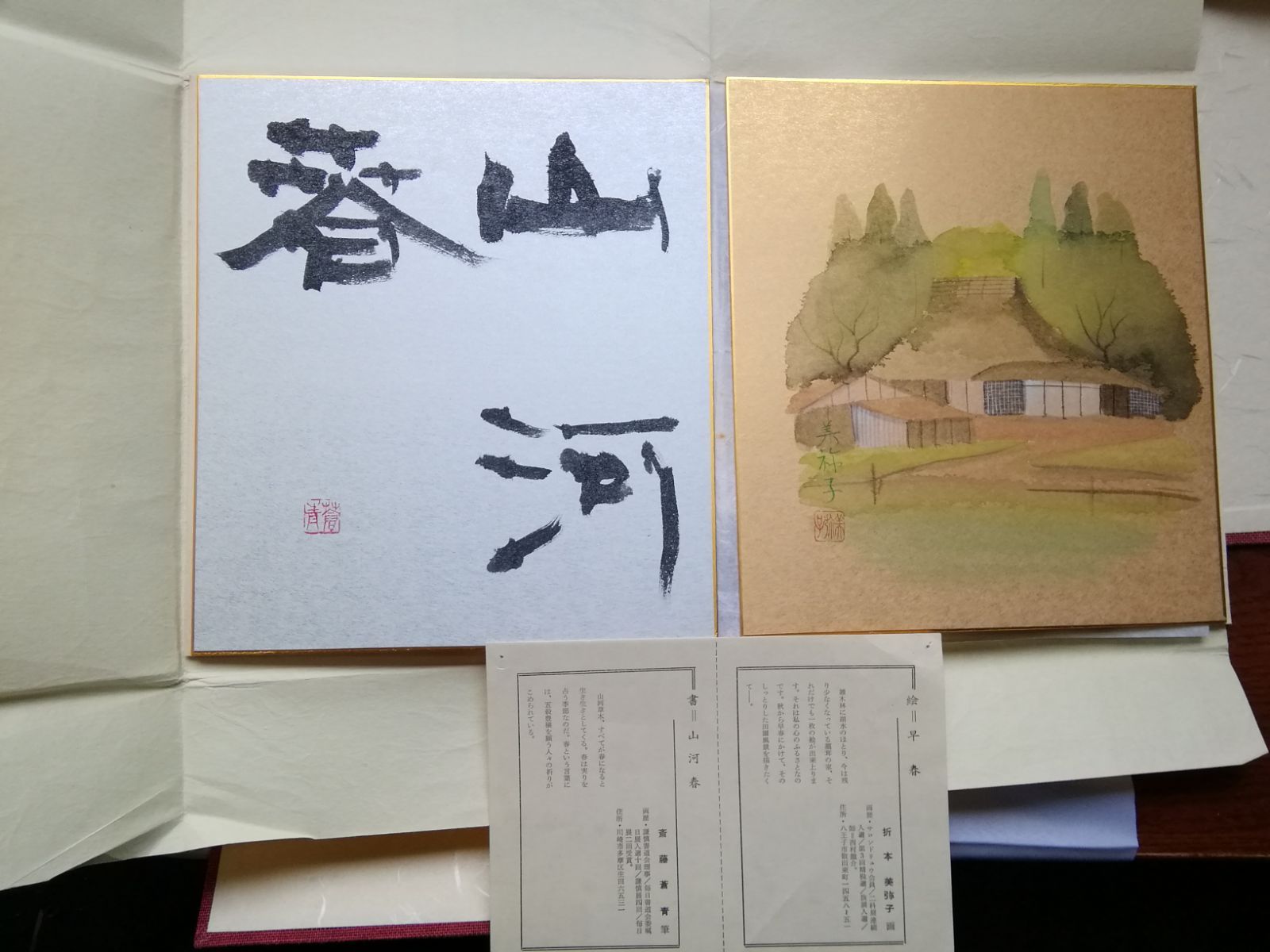 肉筆色紙 「絵と書」 全10組 新作 肉筆 絵と俳句 色紙 十二