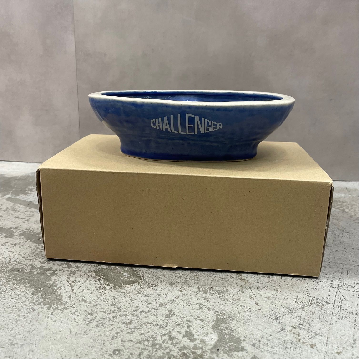 未使用品 CHALLENGER POOL 有田焼き 小物入れ プール チャレンジャー  