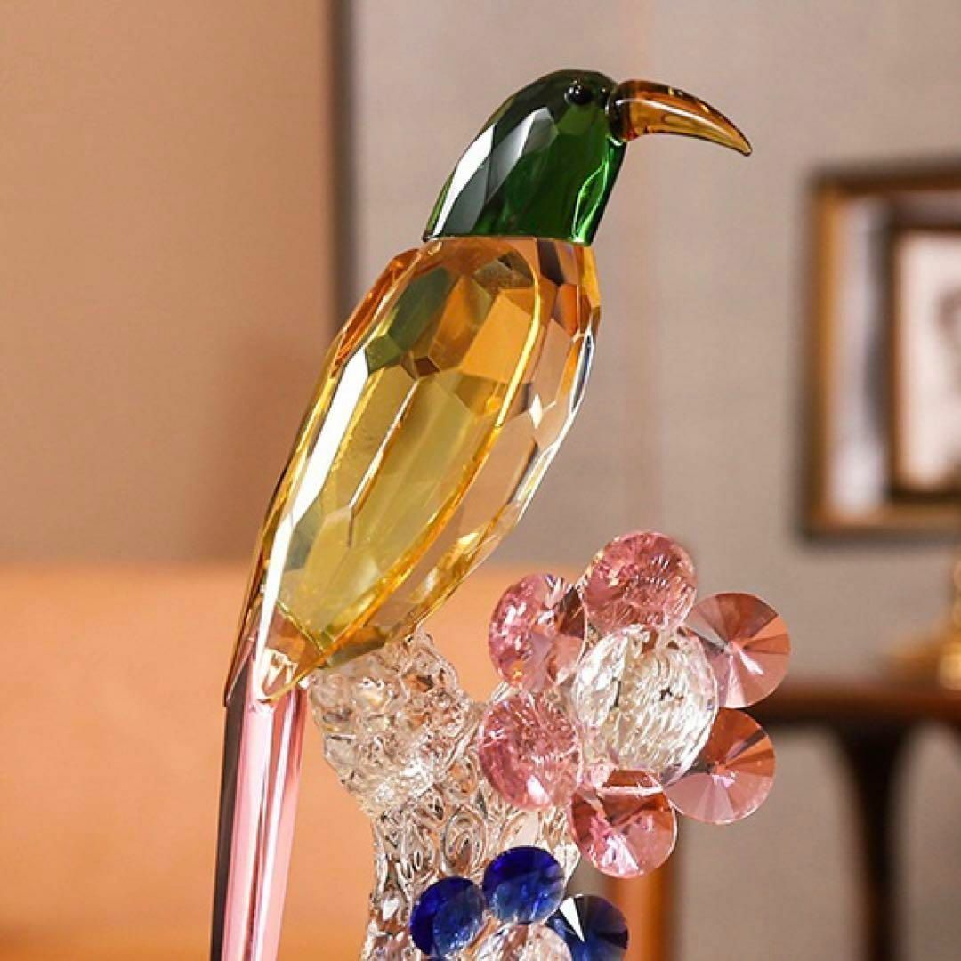 Sola cube ソラキューブ カイガラソウ カラマツ スターチス