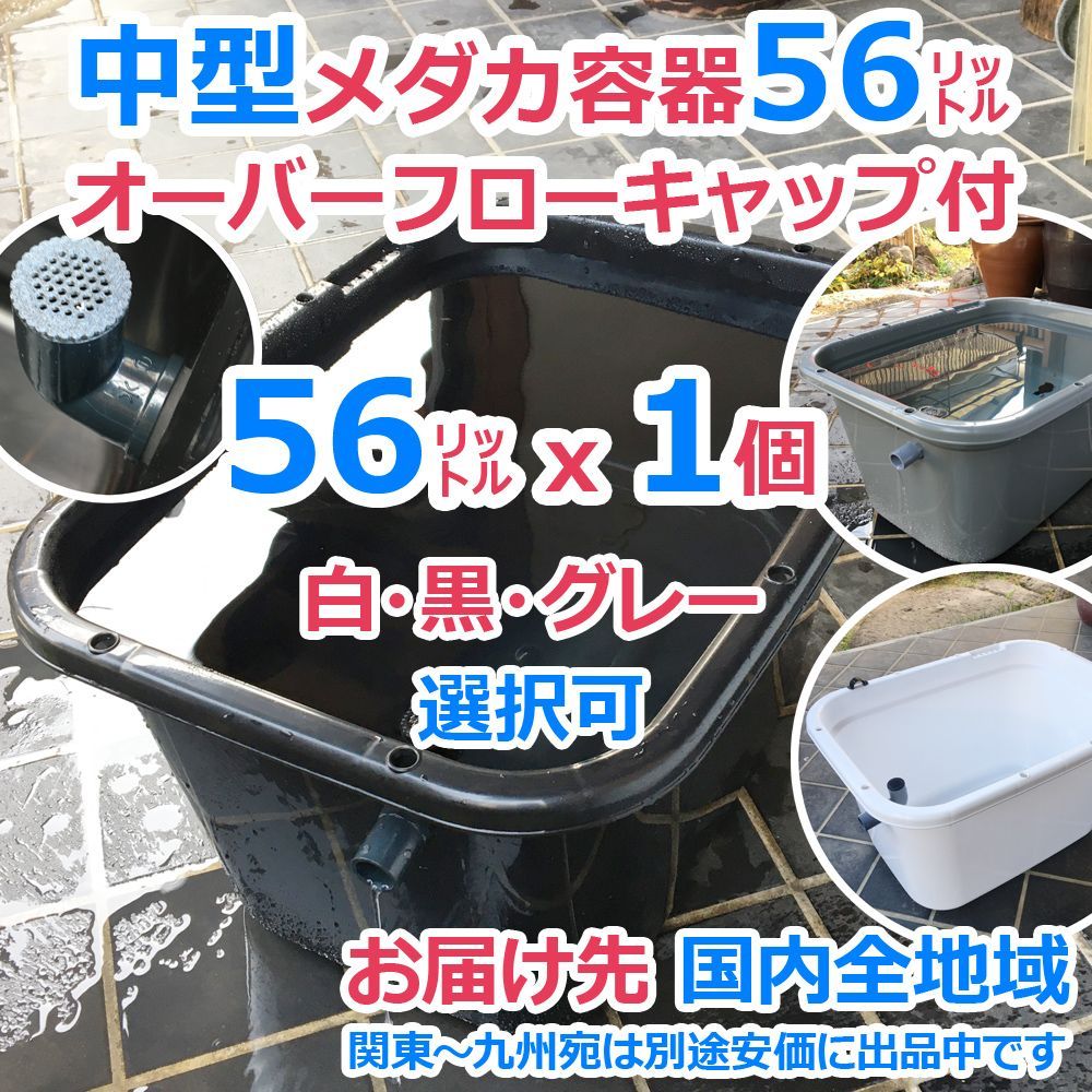 メダカ飼育ケース 56㍑x1個 オーバーフローキャップ付（全国発送可