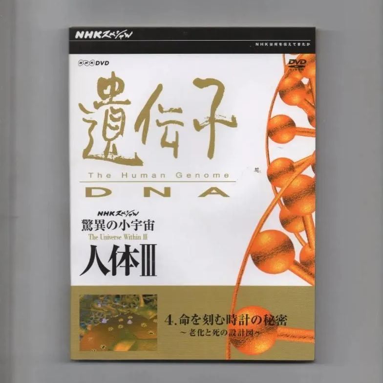 NHKスペシャル 驚異の小宇宙 人体III 遺伝子DNA DVD-BOX