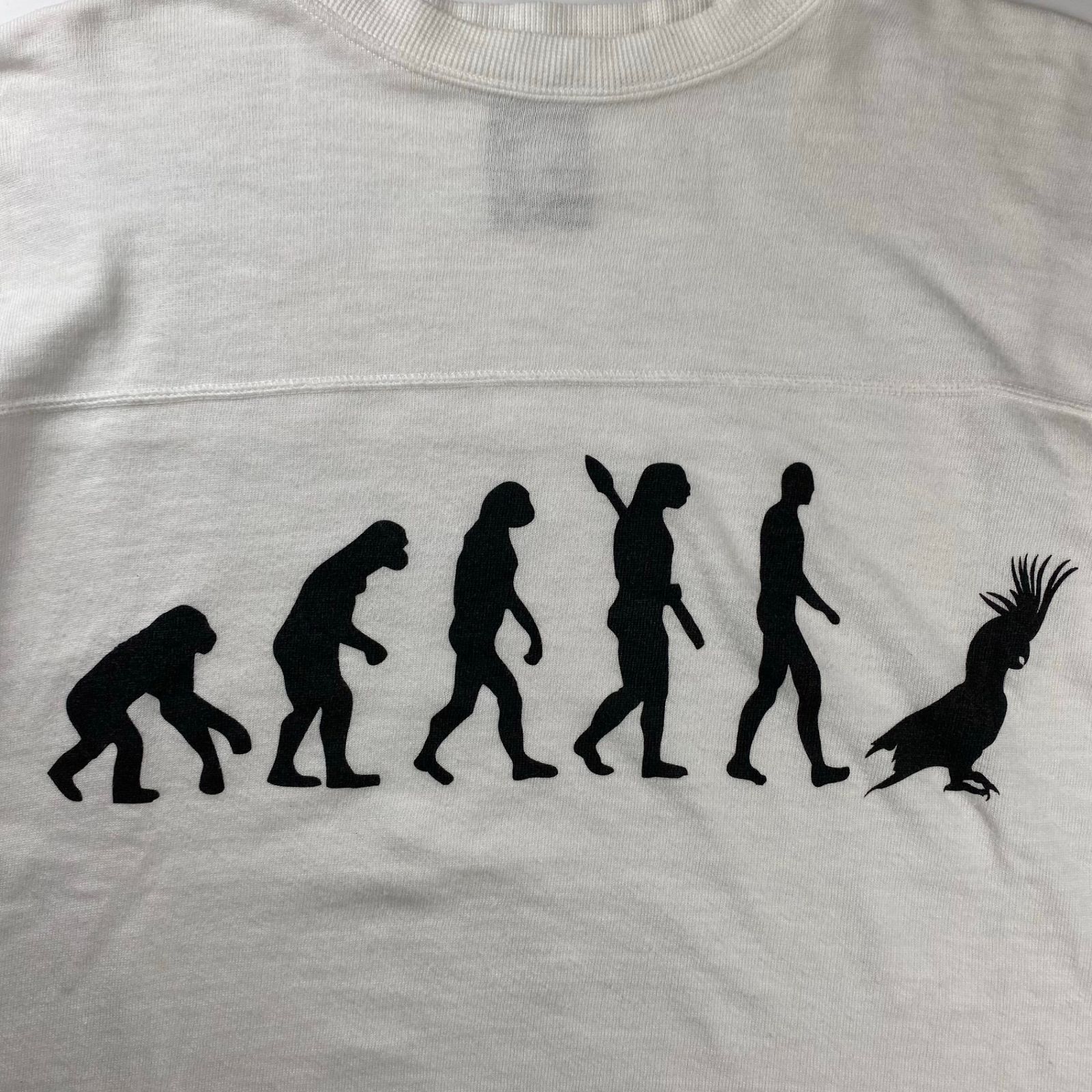 Bernhard Willhelm ベルンハルト ウィルヘルム / ”進化論” TEE PAT