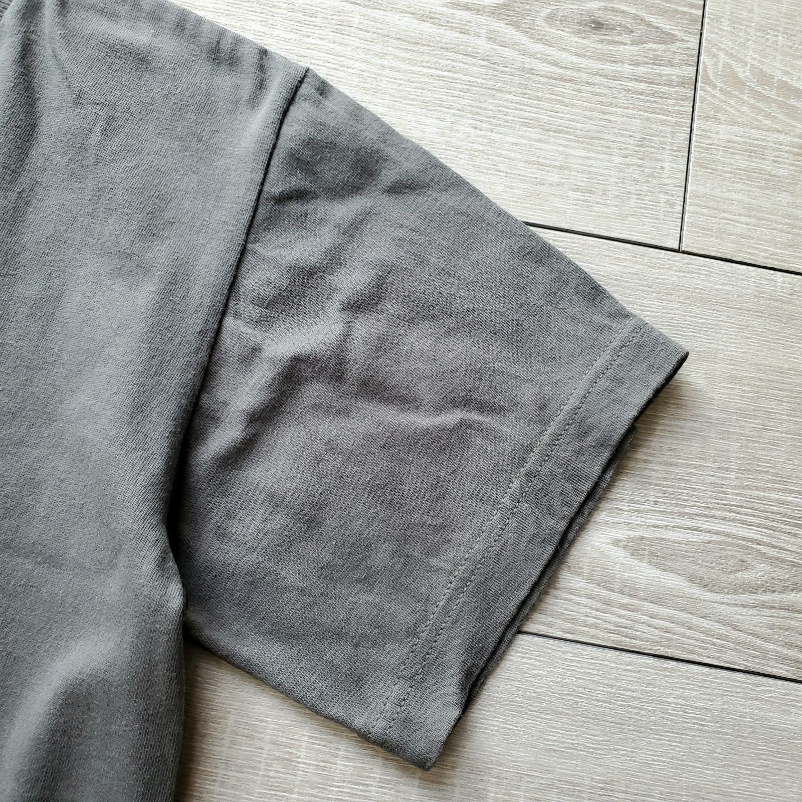 STUSSYステューシー□良品 00s 中期 I GET GOOSE BUMPS 半袖 クルー 