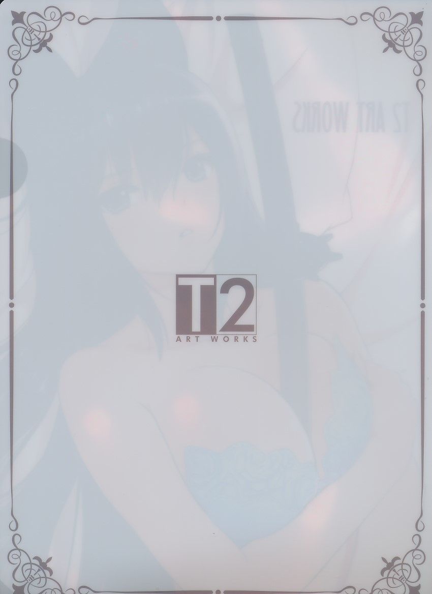T2 ART WORKS][A4クリアファイル コミケ100 Tony No.04][Tony