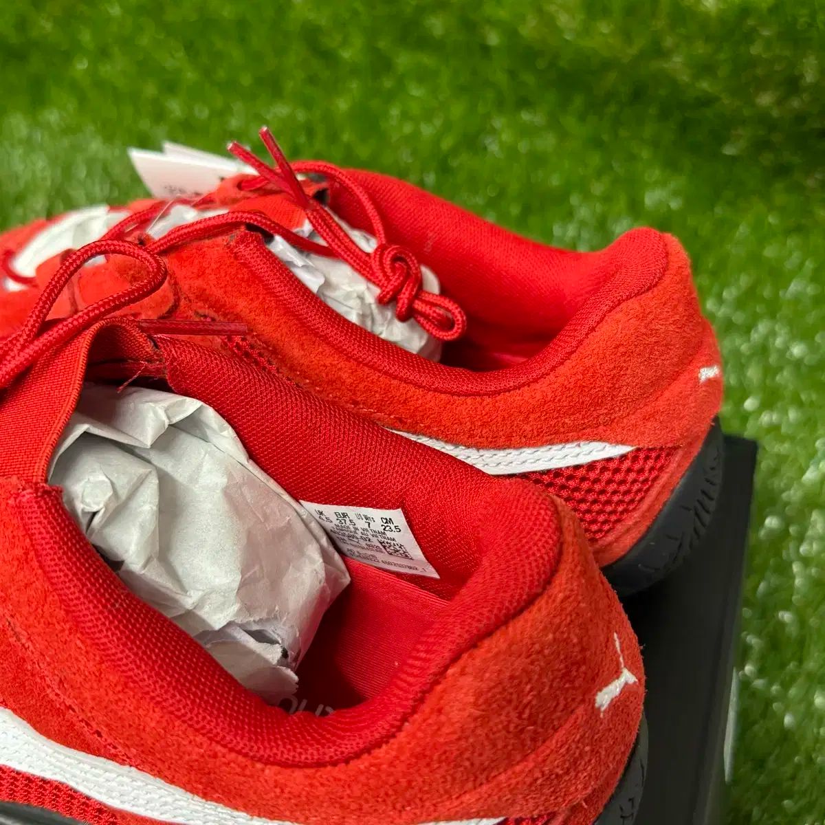 PUMA