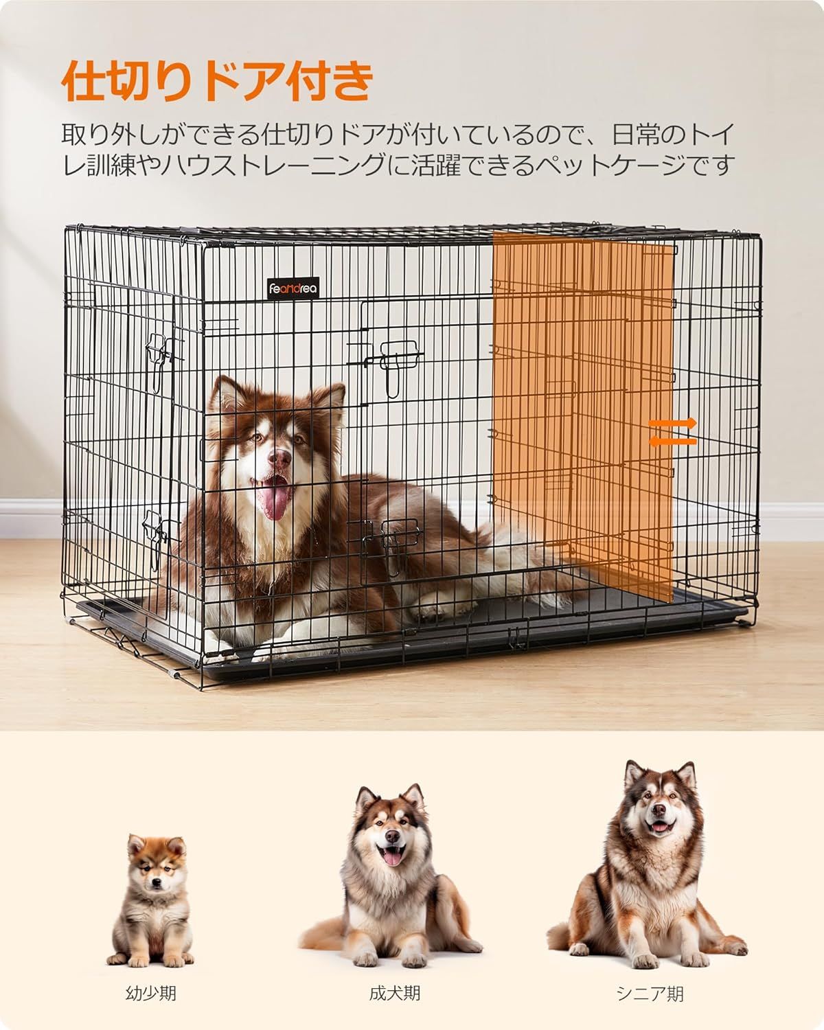 ケージ