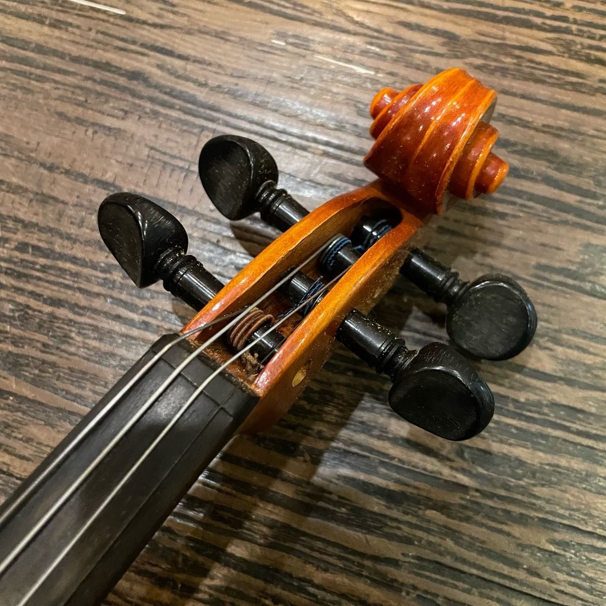 ✨スズキ No.280 1/2サイズ 分数バイオリン 初心者 中級者 スズキ Suzuki No.280 1/2 1980年 Violin 分数バイオリン