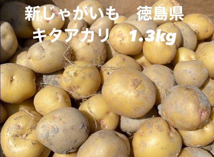 予約商品】ホクホク甘い！たてお農園の定番ジャガイモ