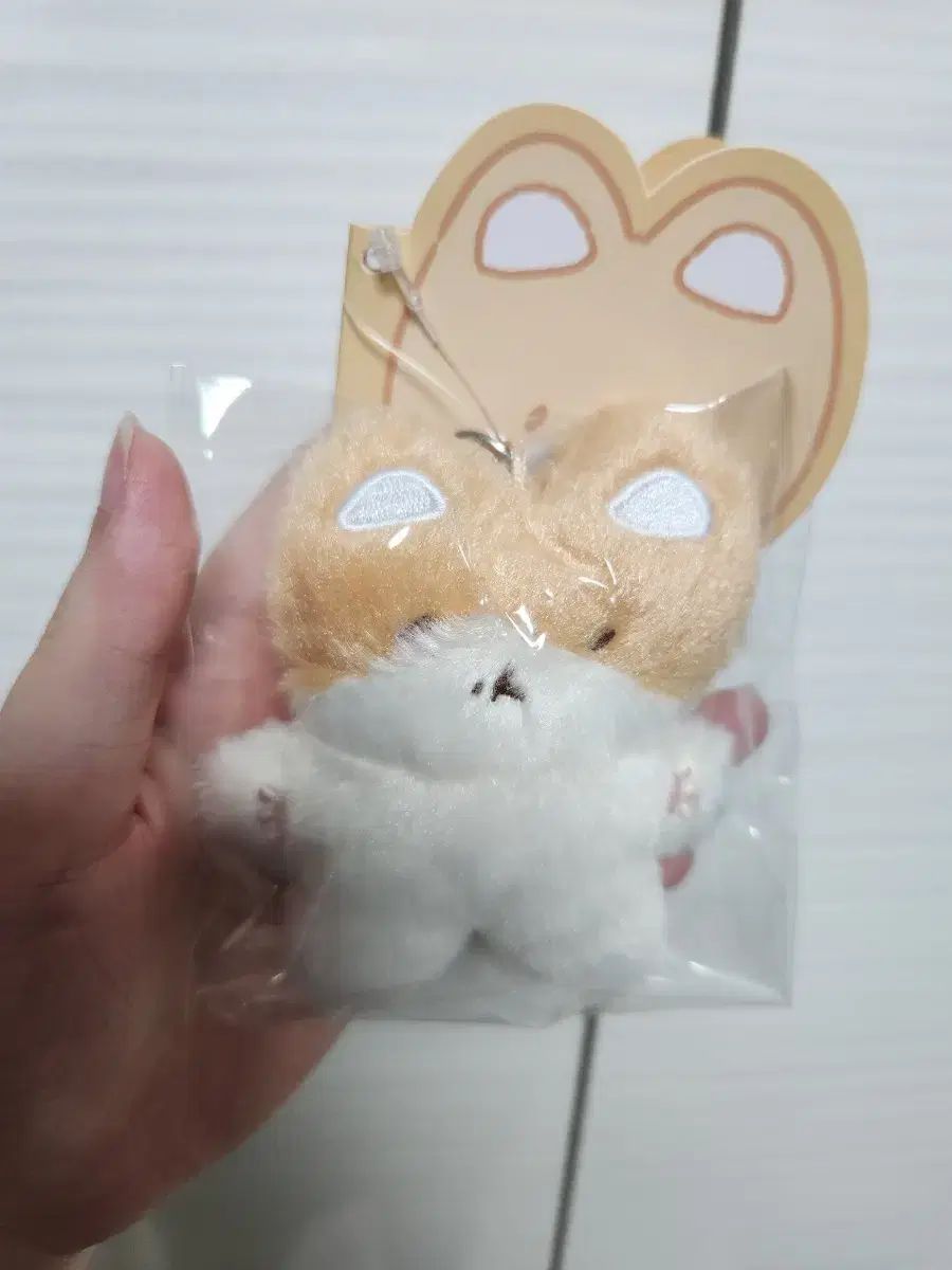 ベッキョン トレギ TEOLAEGI キーリング Baekhyun TEOLAEGI PLUSH MINI KEY RING FLAT VER - AliExpress