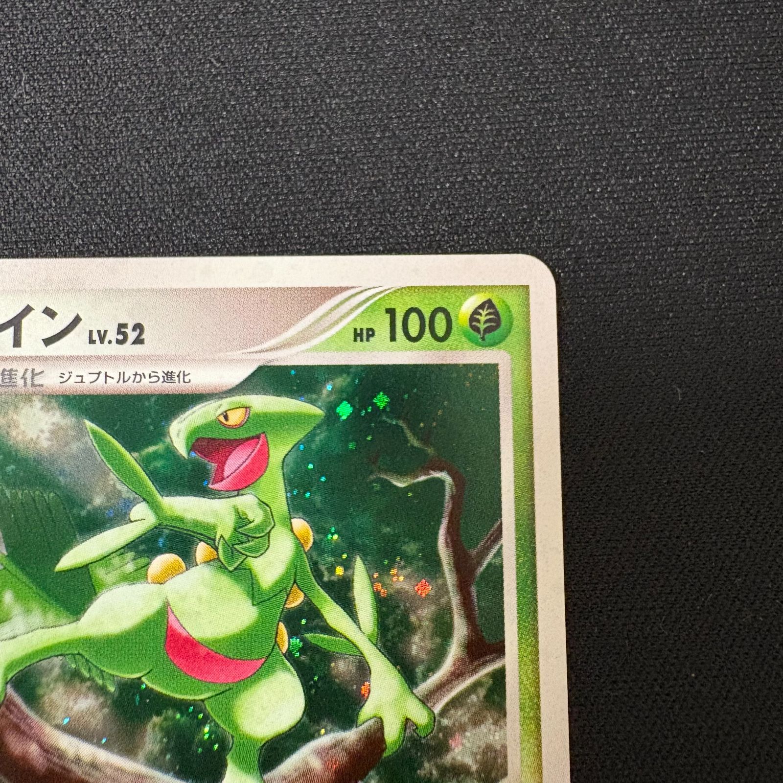 ジュカイン Lv.52 DPDB#304 DP4 ポケモンカード ポケカ [中古