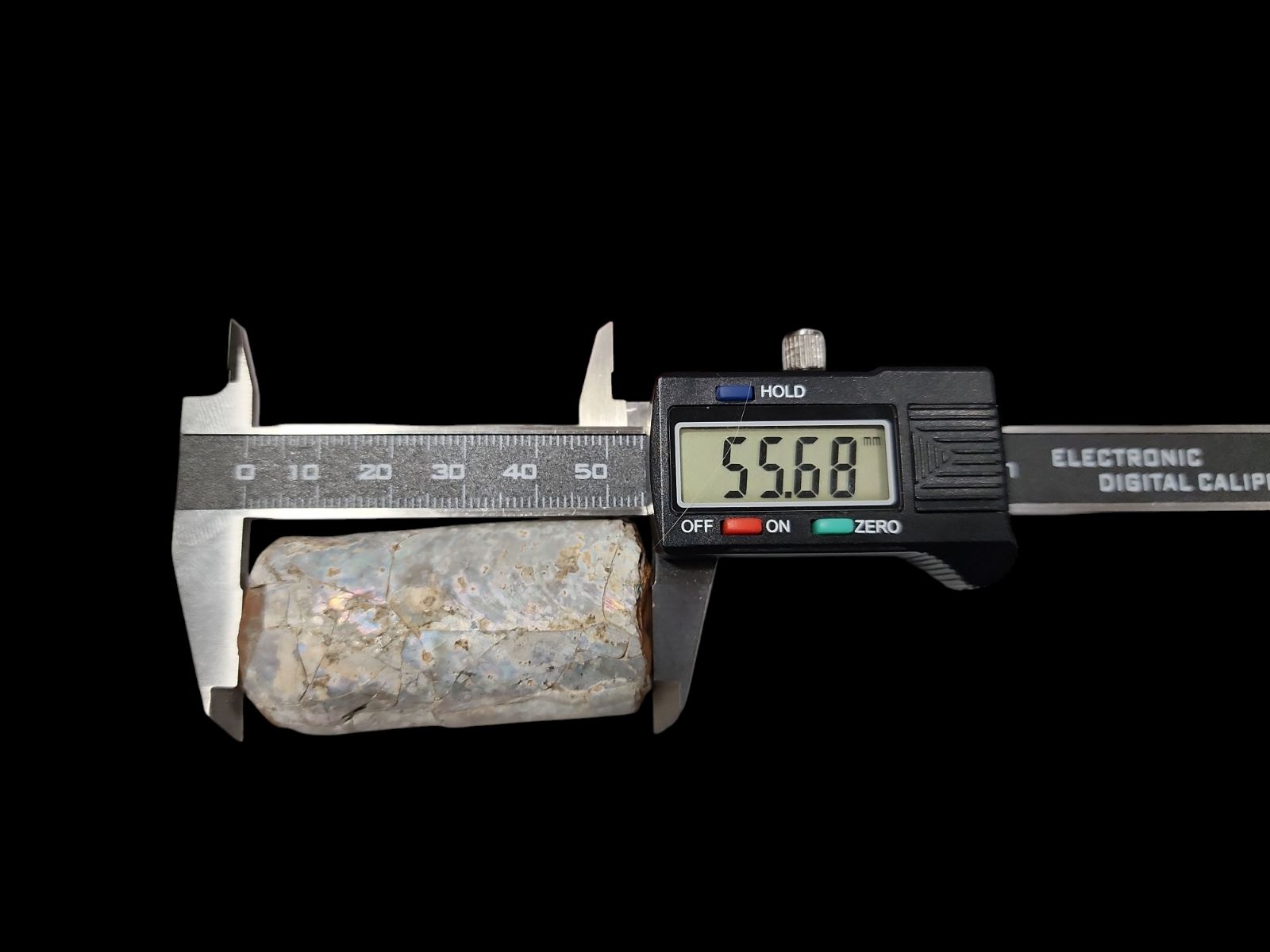 化石 バキュリテス 化石 アンモナイト 貝類 標本 レトロ アンティーク