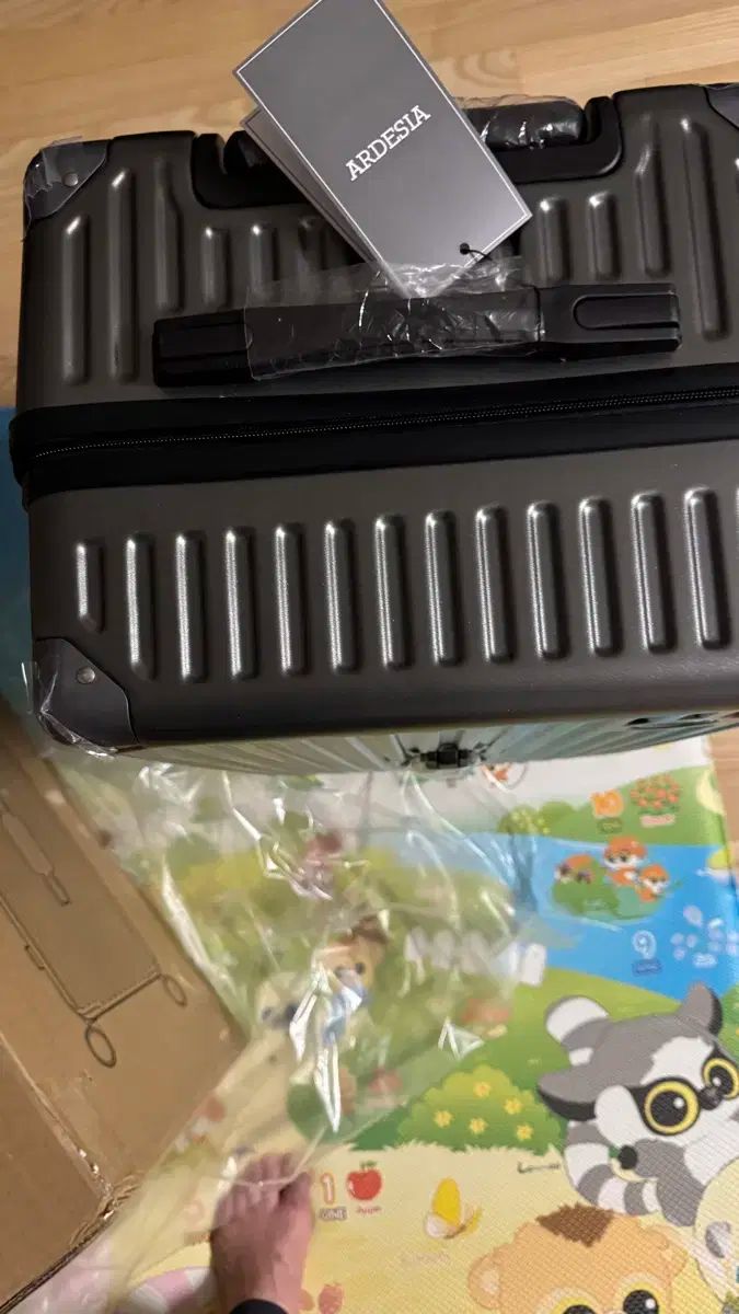 インチ
