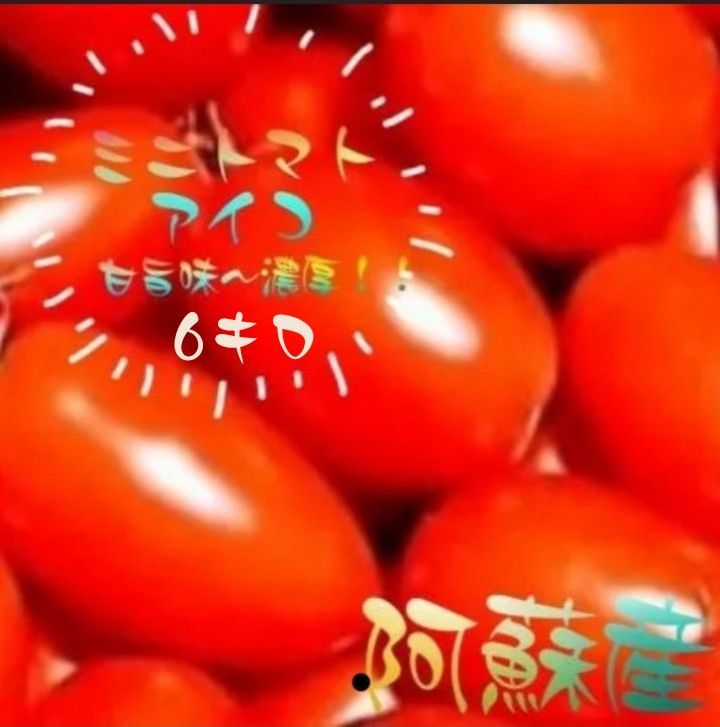 🍅ミニトマトアイコ🍅【６キロ】 - メルカリ