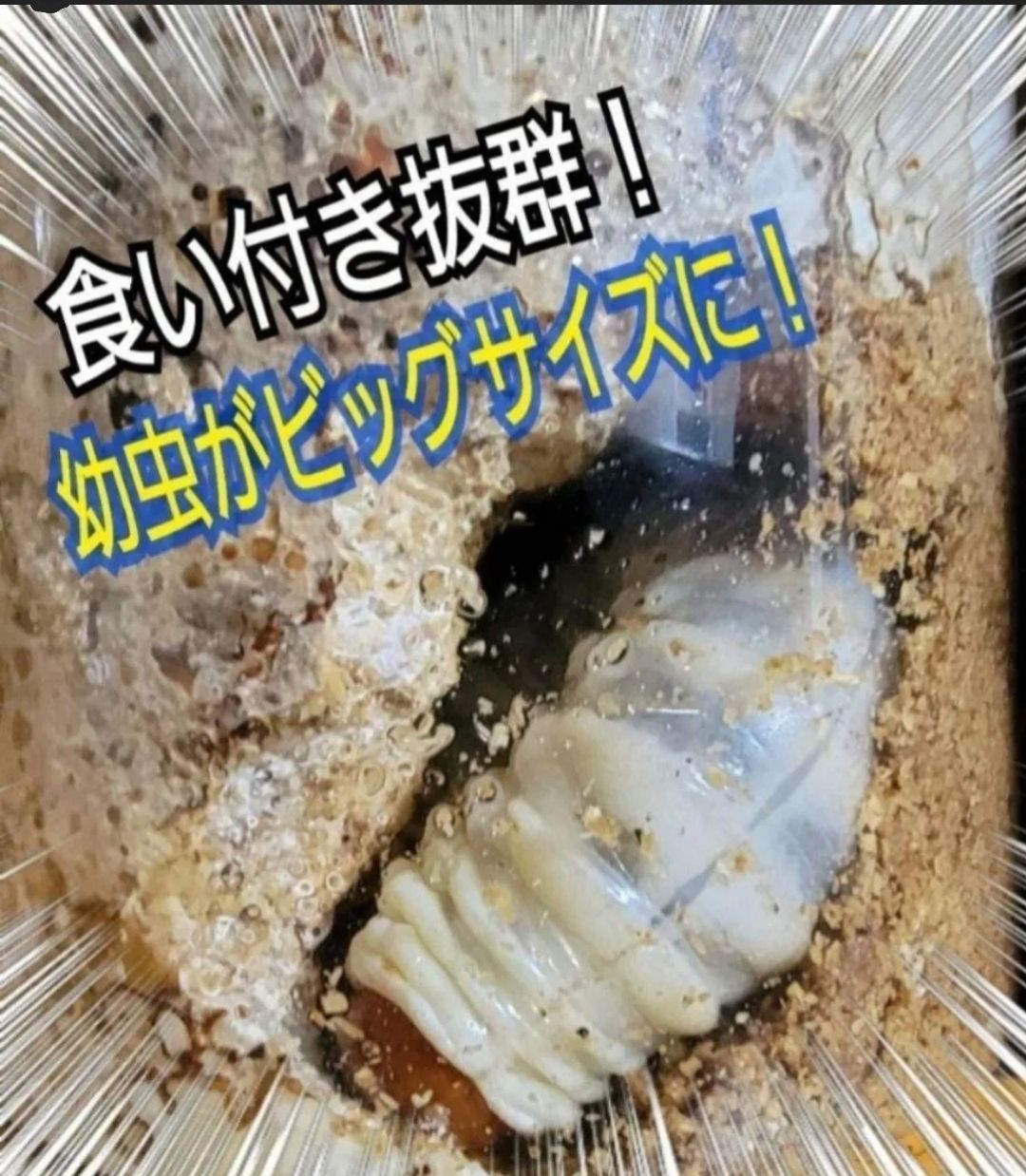特殊アミノ酸強化配合 トレハロース増量