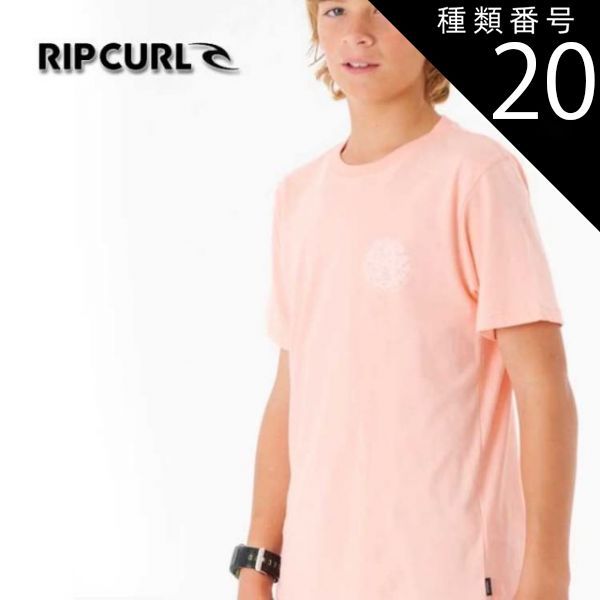 種類20：SHELL CORAL/14 【RIPCURL/リップカール】KTEST9 WETSUIT ICON TEE-BOY 半袖 Tシャツ ボーイズ キッズ