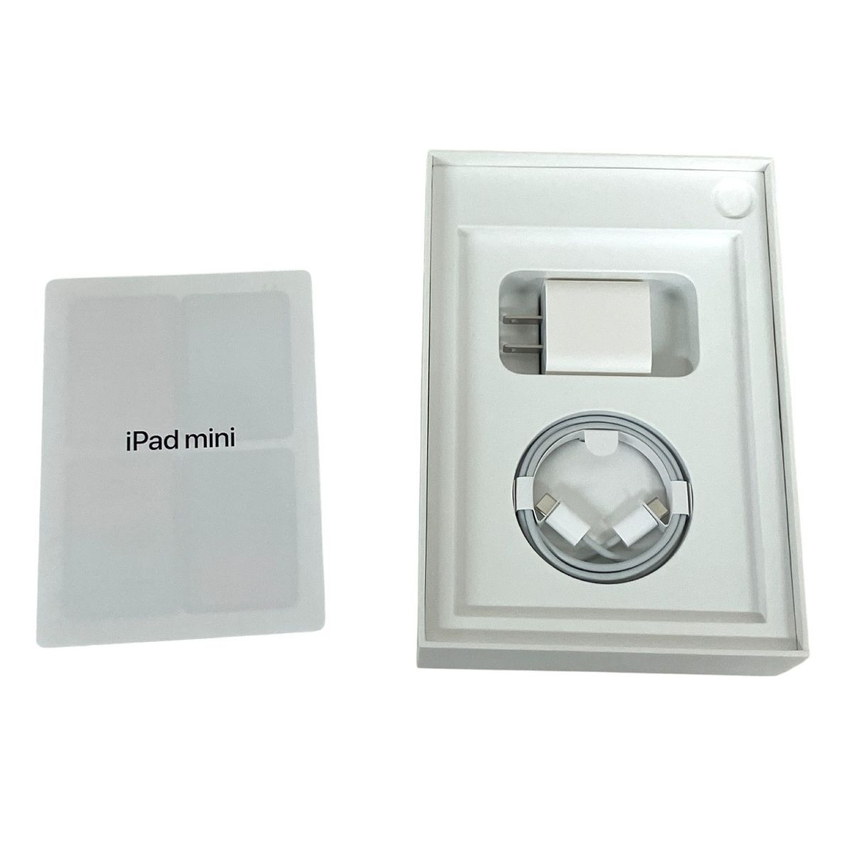 iPad mini