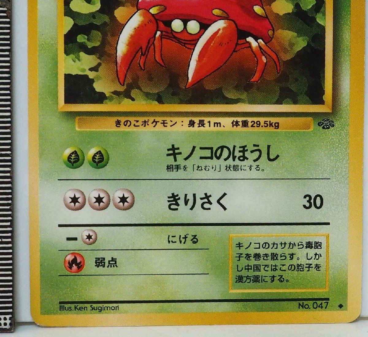 旧裏ポケモン カードゲーム拡張パック第2弾ポケモンジャングル