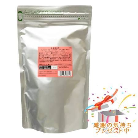 超音波水素吸入器 人気 1G1LUS-N型StarWorks