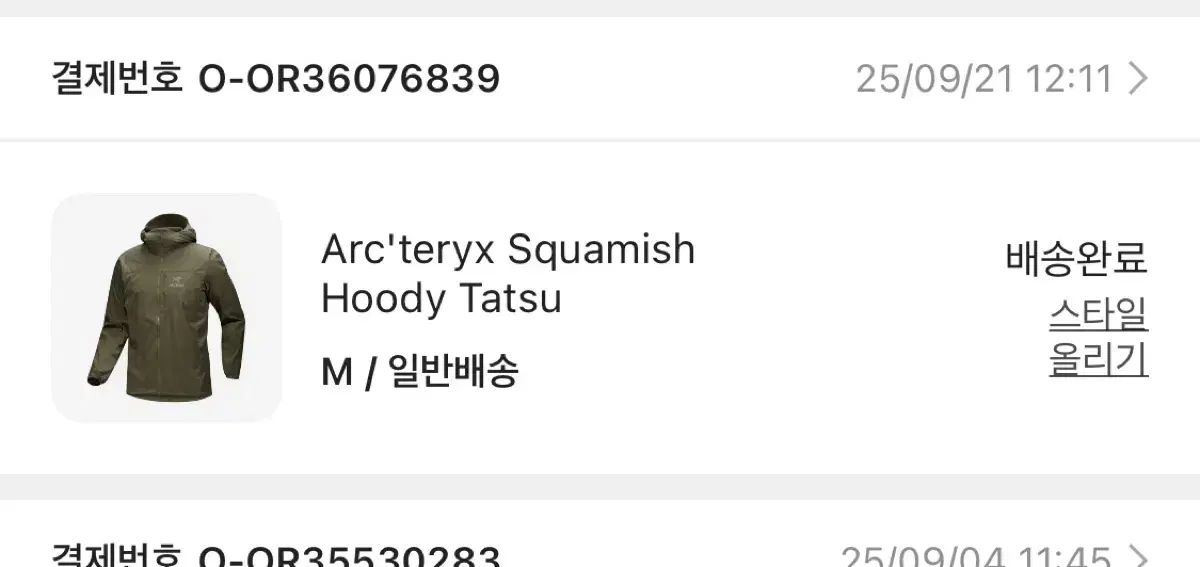 ARC TERYX アークテリクス スコーミッシュ フーディー パーカー