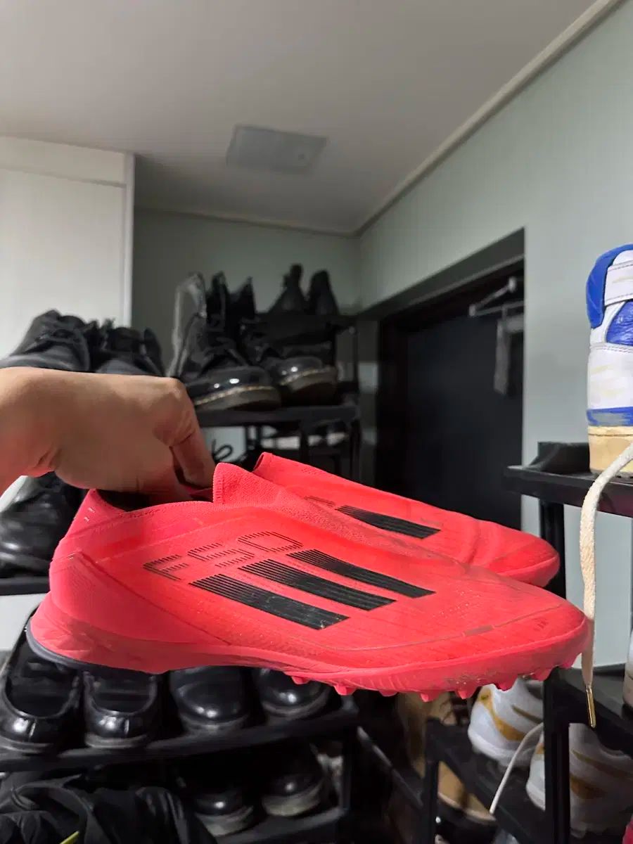 F50 ll プロ tf 270