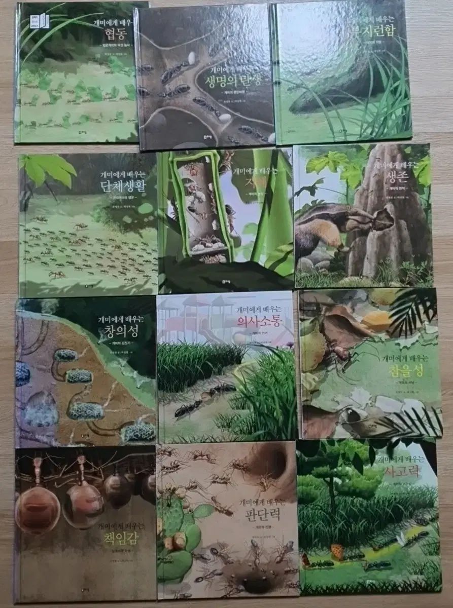 チェ ジェチョン教授の 子供アリ物語