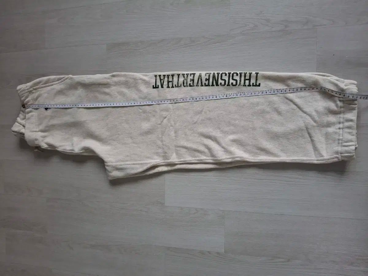 ディスイズネバーザット