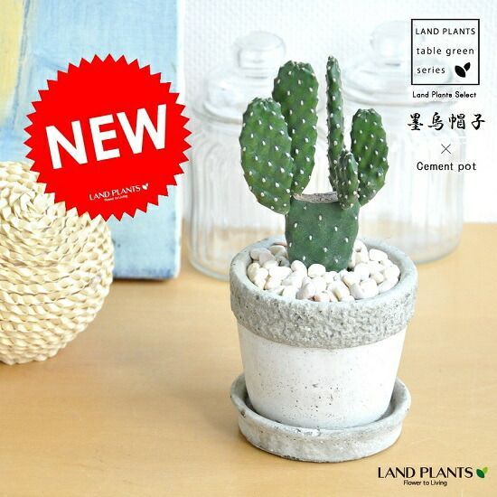 手織りダブルノット バルーチ族織トライバル絨毯 アフガンウール163×85cm