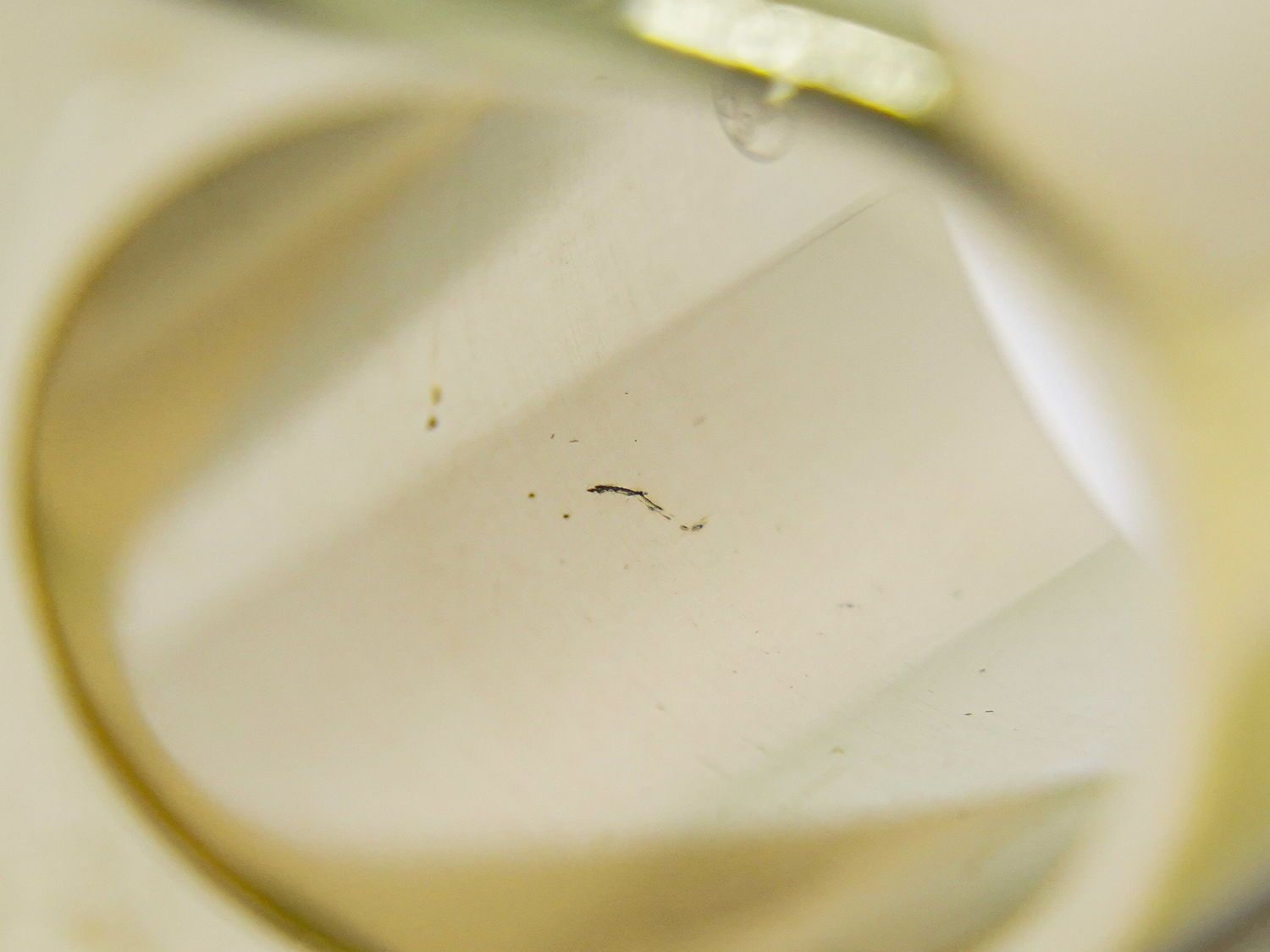 本物 シャネル CHANEL ココマーク リング 指輪 10号 GP ゴールドメッキ  