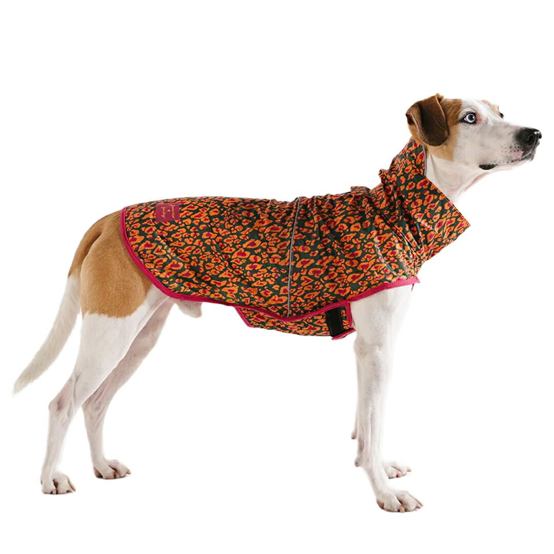 zee.dog ジードッグ RAINCOAT レインコート FARM RIO SELVA セルバ サイズXL 大型犬用～ FARM RIOコレクション 760109