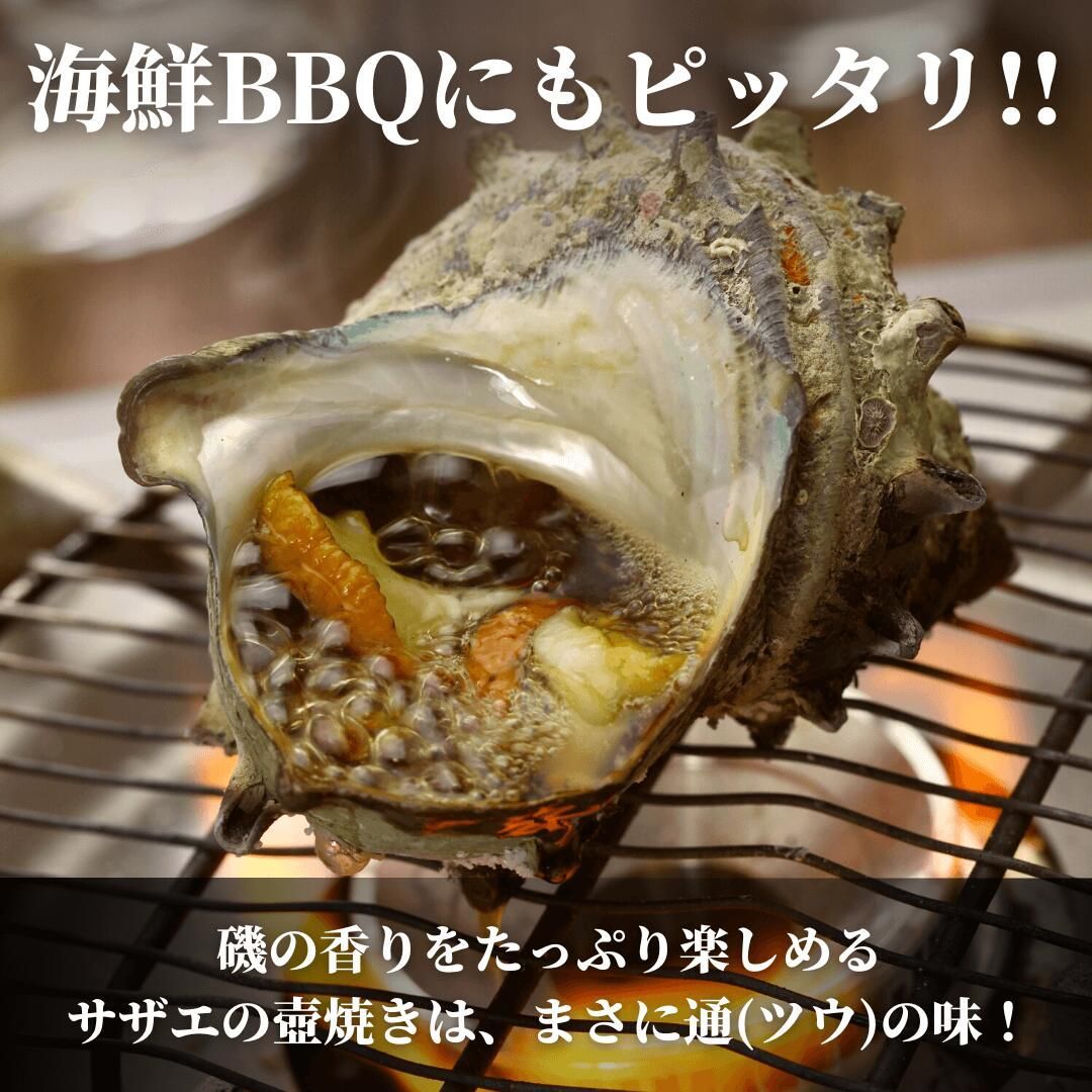 サイズおまかせ・国産生サザエ3kg（海鮮BBQバーベキューに）新鮮！冷凍 さざえの壺焼き